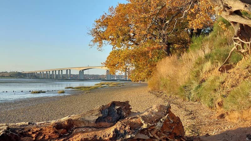 Bridge Wood - Image 1