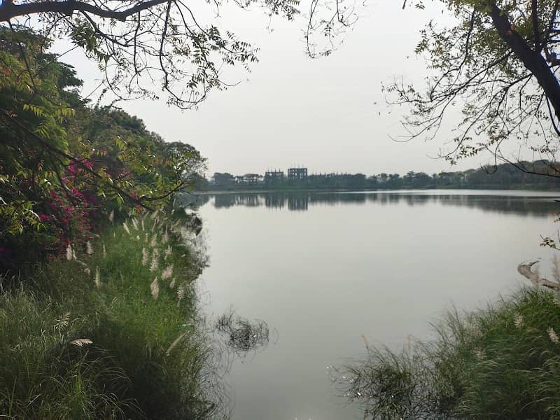 Chetti Yeri Park - Image 1