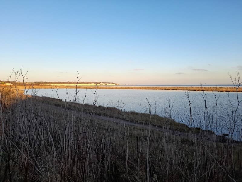Pegwell Bay Country Park - Image 1