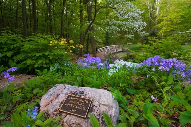 Edith J. Carrier Arboretum - Image 1