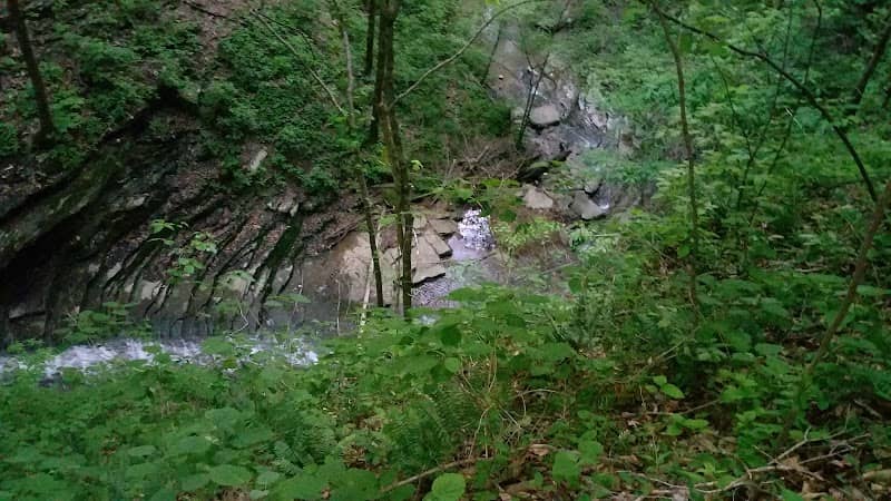 Park - Image 2