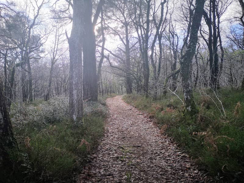 East Dartmoor National Nature Reserve - Image 1