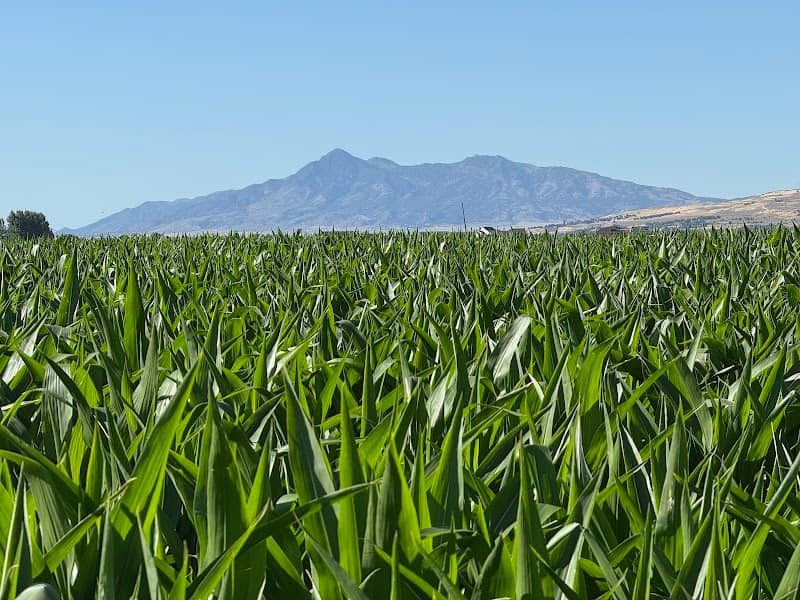 Honeyville, UT - Image 1