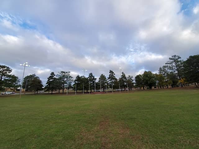 Spike Field - Image 2