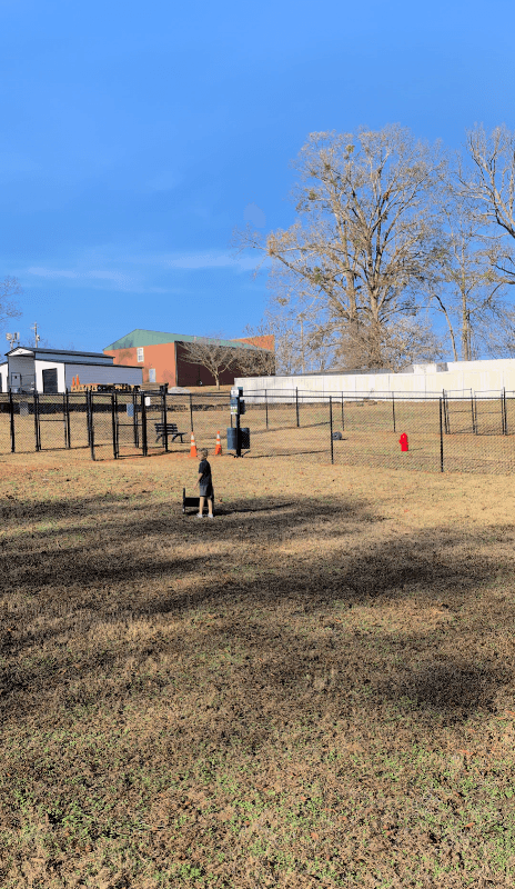 Joyce Wilkerson Dog Park - Image 1