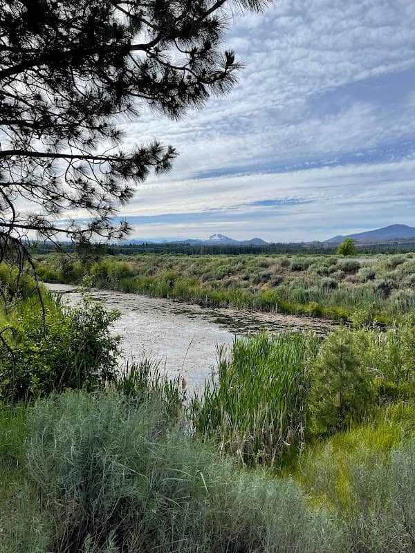 Olsen Barn Meadow - Image 1