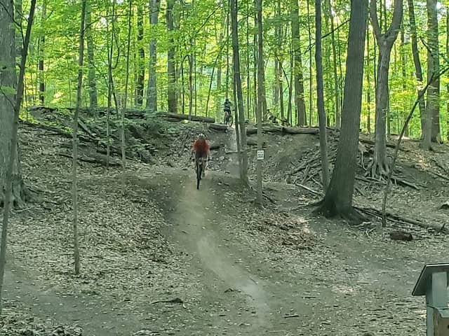 Novi Tree Farm - Image 2