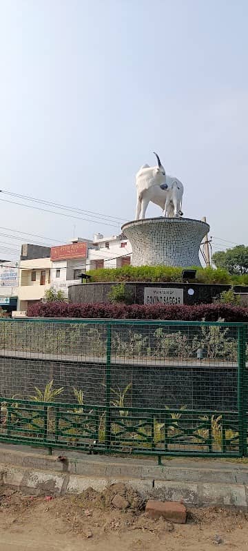 Gau mata chowk Patiala - Image 1