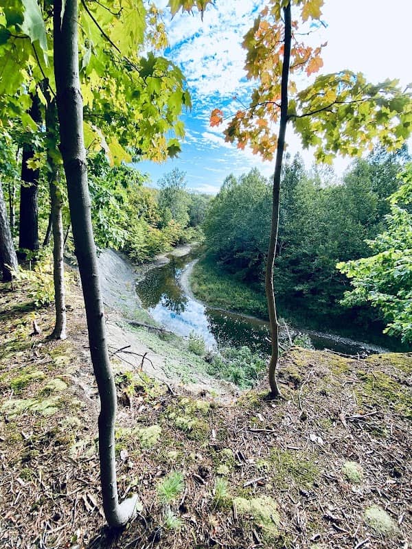 Cornell Recreation Connection Park - Image 1