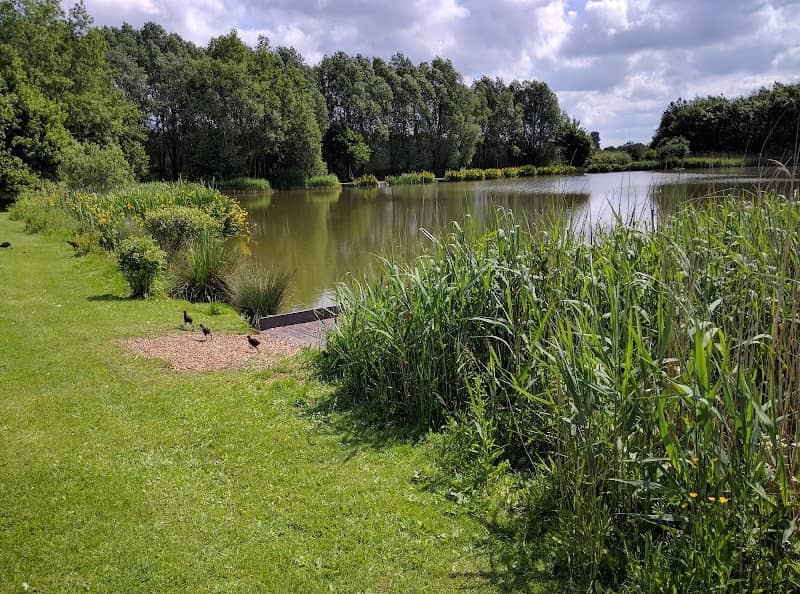 Brierley Forest Park Country Park - Image 2