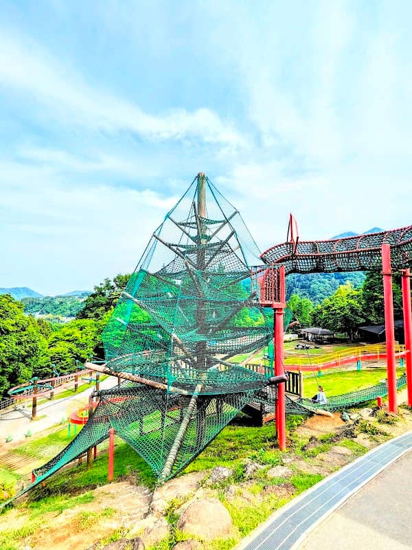 Adventure Forest - Image 1