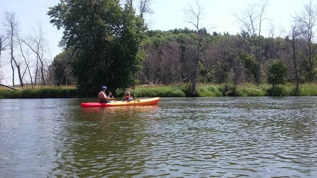 Manistee River State Game Area - Image 1