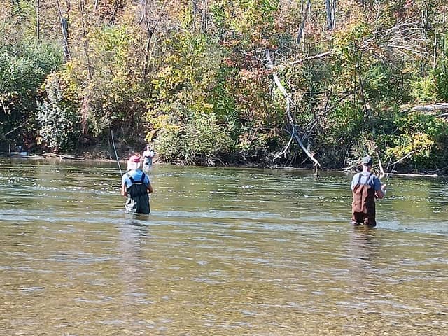 Manistee River State Game Area - Image 2