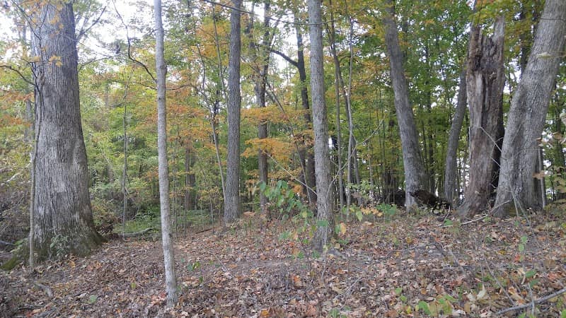 Whipple State Nature Preserve - Image 2