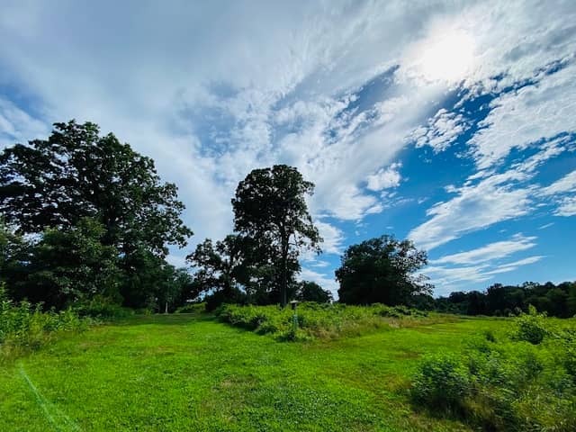 McIntire Park - Image 3