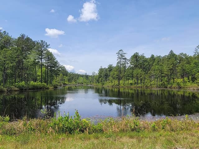 Carolina Sandhills National Wildlife Refuge Admin Building And Visitor Contact Station - Image 2