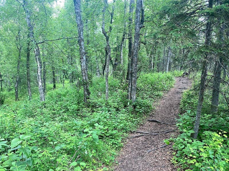 Scout Ridge Loop Trail - Image 1