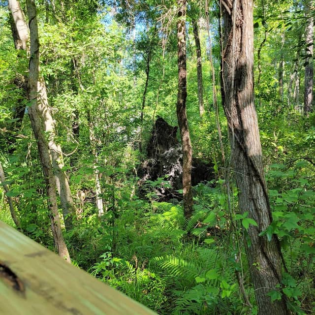 John Muir Ecological Park - Image 2