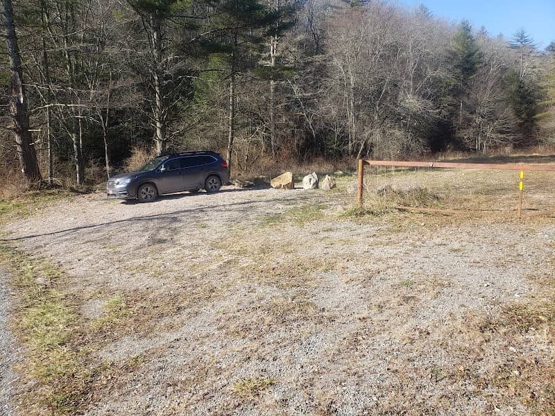Allegheny Trail (Dilleys Mill) - Image 1