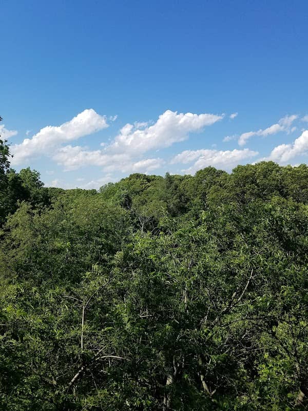 Tower Hill Park - Image 1