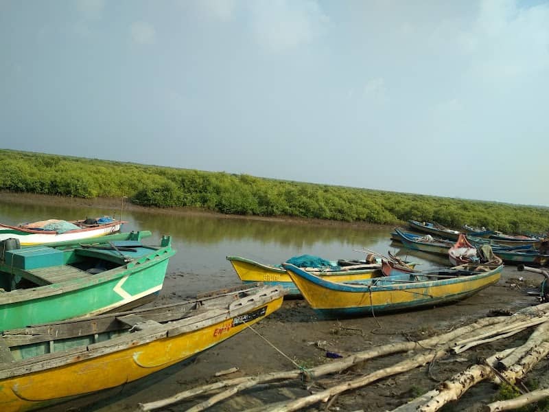 Hamsaladeevi Beach - Image 2