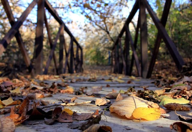Harvey County East Park - Image 1