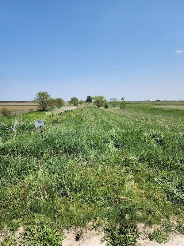 Sunbury Railroad Prairie Nature Preserve - Image 2