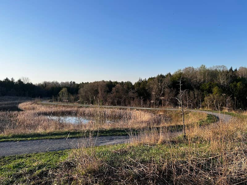 Allangrove Park - Image 1