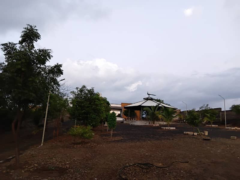 Dada-Dadi Farm - Rambhai Vaghasiya - Image 1
