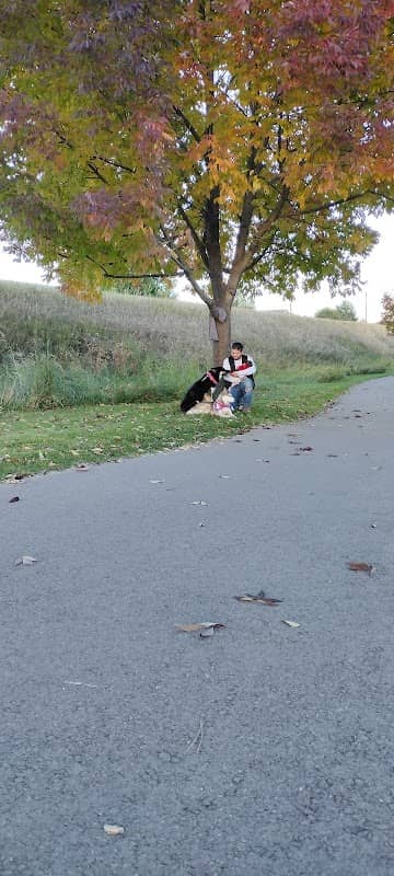Springwater Park - Image 1