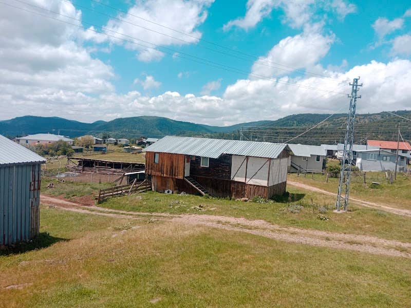 Karca - Kabak Yaylası - Image 1