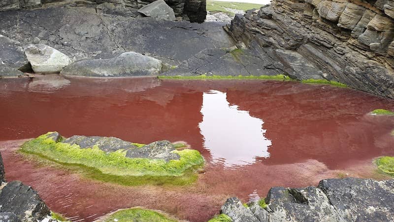 Red Pool, Virkie - Image 2
