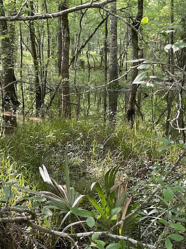 Russell Sage State Wildlife Management Area - Image 1