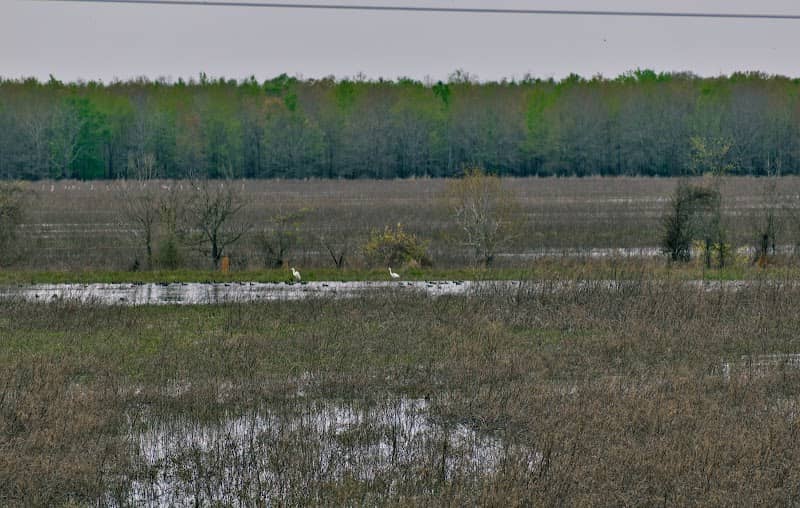 Russell Sage State Wildlife Management Area - Image 2