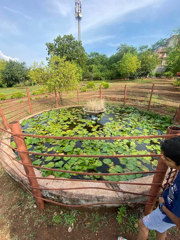 LOTUS PARK - Image 1