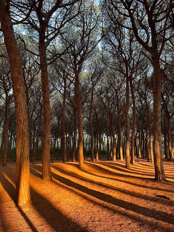 Parco giochi - Image 1
