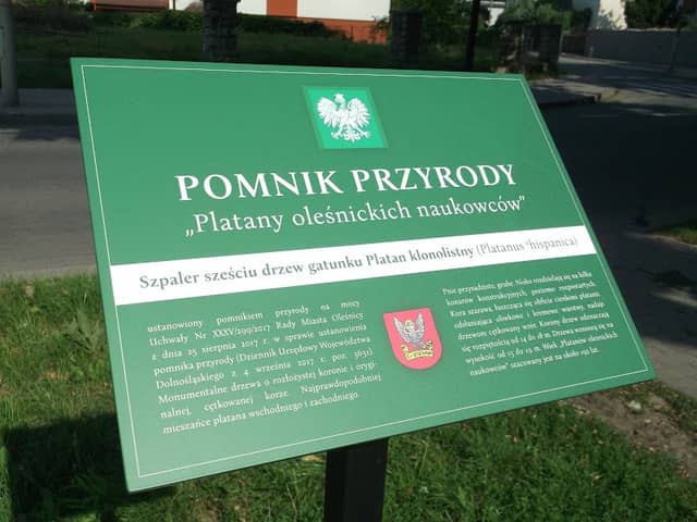 Platany oleśnickich naukowców - Image 2