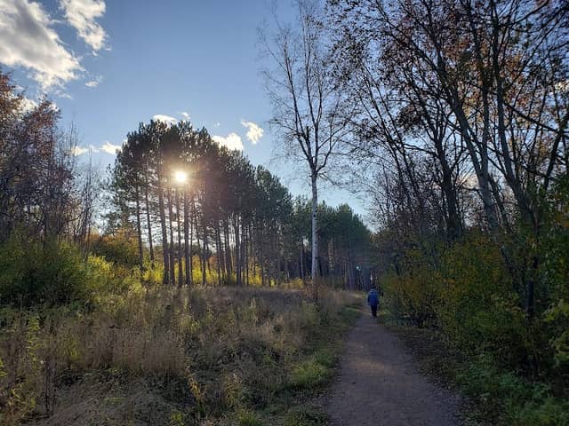Hartley Nature Center TH, Superior Hiking Trail - Image 2
