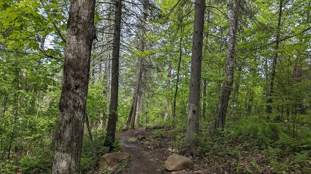 Hartley Nature Center TH, Superior Hiking Trail - Image 3