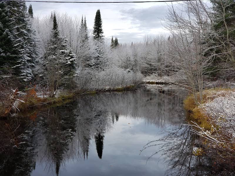 John J. Helstrom Nature Sanctuary - Image 2
