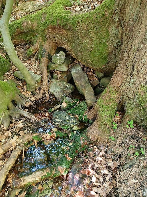 Schelbachquelle - Image 2