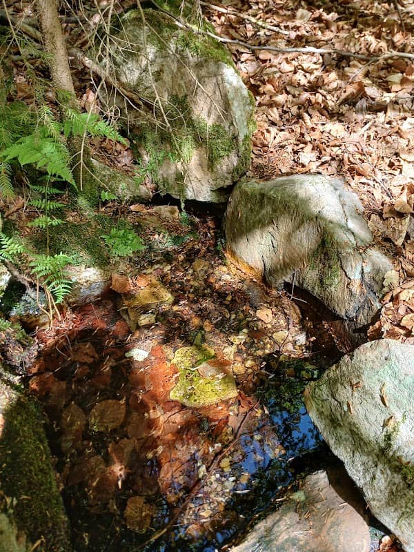 Schelbachquelle - Image 1