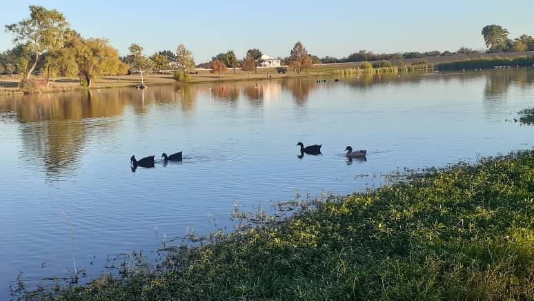 Old Settlers Park - Image 1
