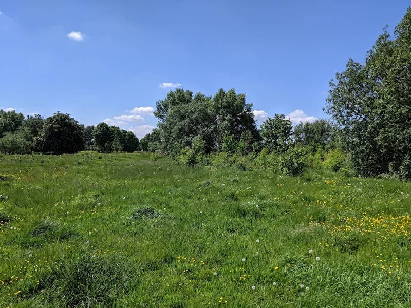 Audenshaw Ponderosa - Image 2