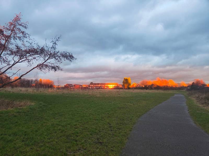 Audenshaw Ponderosa - Image 1