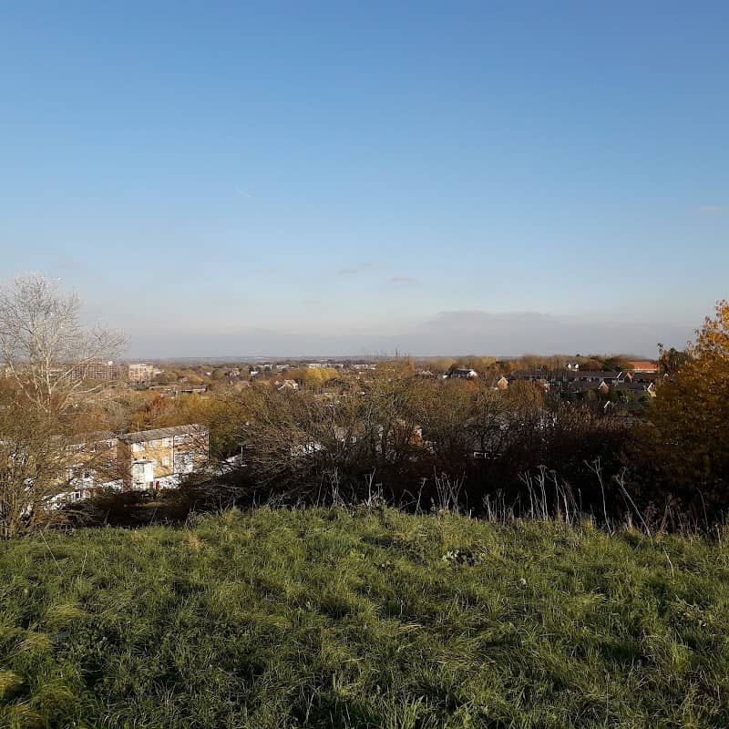 Knights Field - Image 2