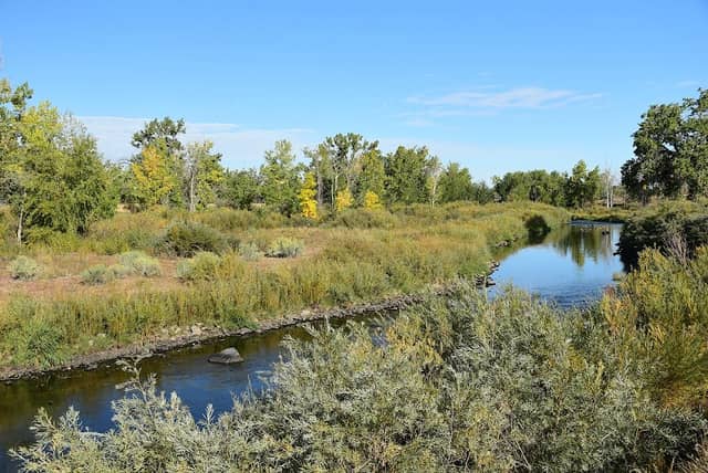 South Platte Park and Carson Nature Center - Image 1