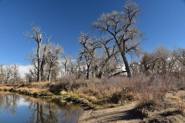 South Platte Park and Carson Nature Center - Image 2