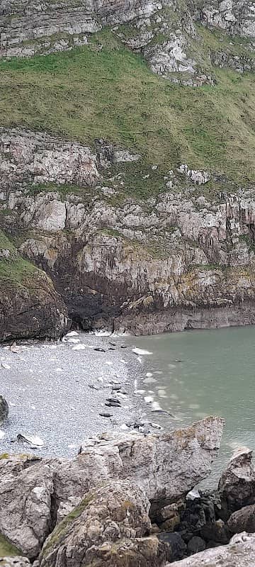 Orme Hammer - Image 1