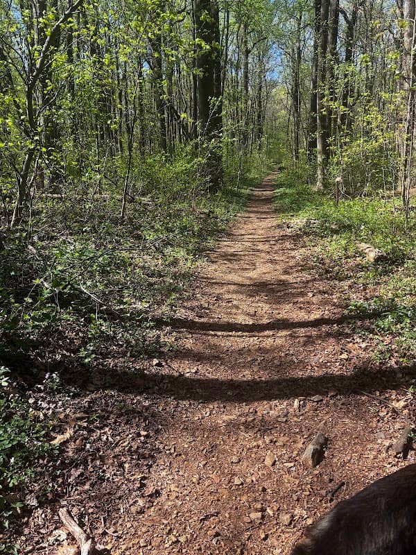 Chester Gap Trailhead - Image 1